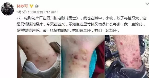 初夏蚊蟲飛舞，一扇紗窗守護你家