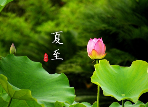 【今日夏至】荷風送香氣,南方迎高溫