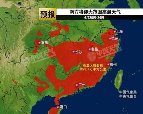 荷風送香氣，南方迎高溫